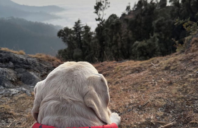 Echoes of the Himalayas - Foto 29