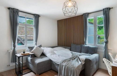 Ferienwohnungen Bühlertal - Foto 38