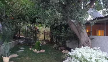 La Casa Di Elena - Foto 5, Garden