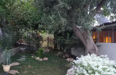 La Casa Di Elena - Foto 5