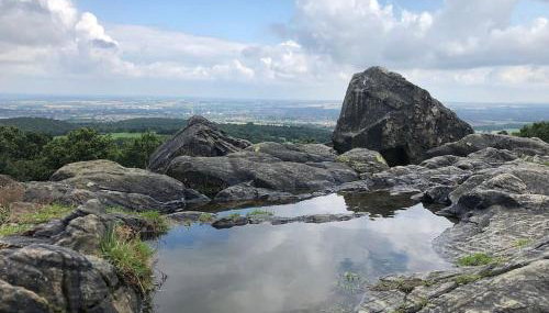 The Boardroom - Foto 4