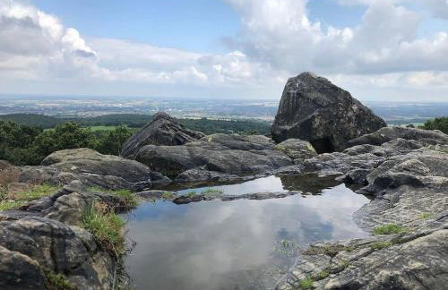 The Boardroom - Foto 4