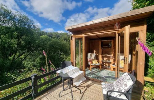 Cosy Cottage overlooking the Teifi Gorge - Foto 45