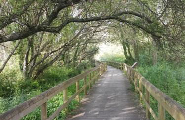 Ulfilanis Vila - Foto 30