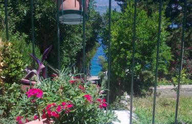 Apartment Vanda - Photo 39