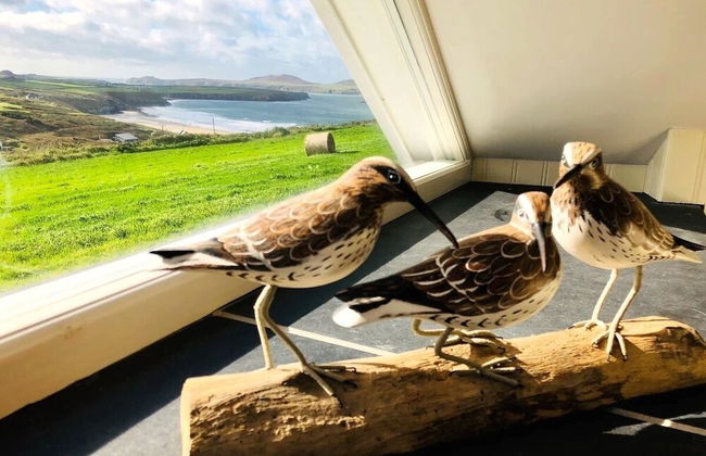 Swn y Môr - 1 Bedroom Cottage - Whitesands - Foto 27