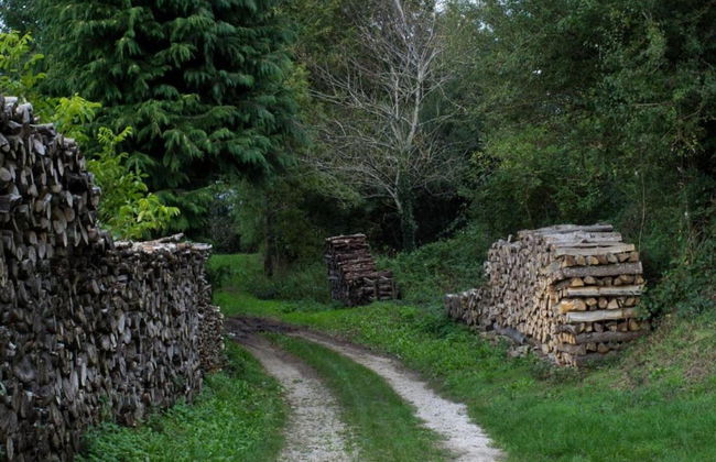 Villa in Mazamet With Private Pool - Foto 55