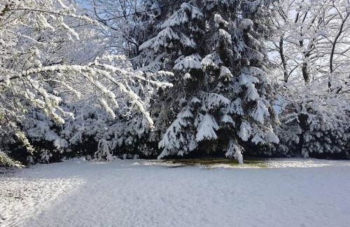 Acorn Lodge Luxury Retreat In a Stunning Oasis With Hot Tub - Pass the Keys - Foto 78