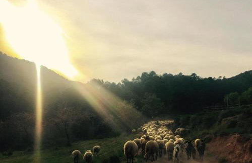 Farmhouse near Barcelona with Pool - Photo 37