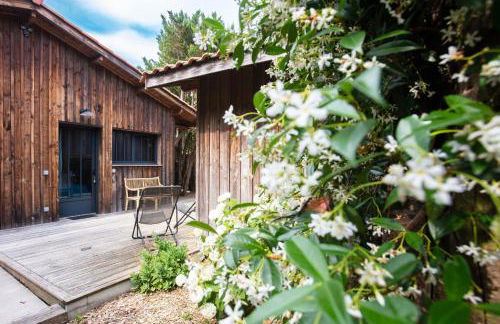 Le Nid du Cap à proximité de la plage - Foto 23