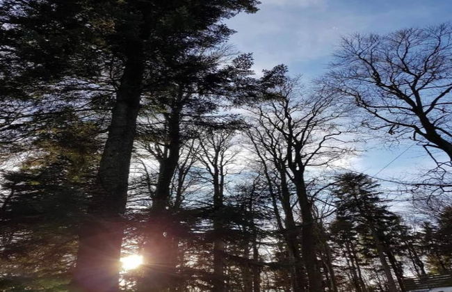 Comfortably Furnished Apartment in Lower Bavaria - Foto 36