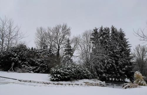 Ferienwohnung im Grünen I - Foto 20