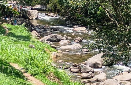 Refúgio verde - Photo 19