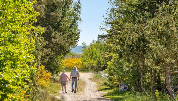 "Anderson" - from the sea - Foto 4, Outdoor