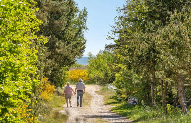 "Anderson" - from the sea - Foto 4