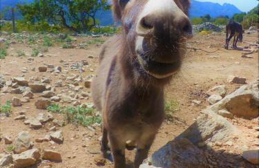 La Giralda 2 Denia Les Marines - Photo 57