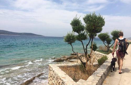 Prvinski Akvarel - Foto 35