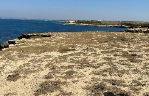 Regina Elena Home - Foto 19