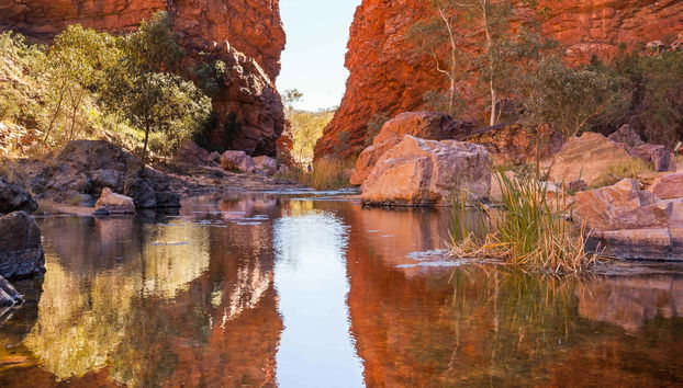 Alice Springs Guided Tour