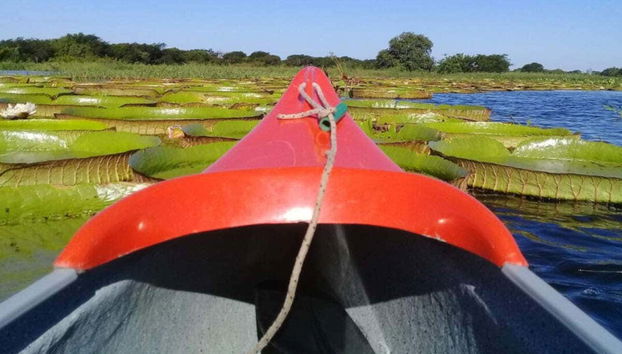 Tour en kayak por el río Paraguay - Photo 5