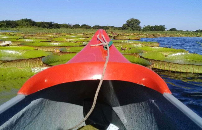 Tour en kayak por el río Paraguay - Photo 5
