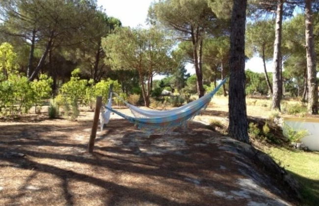 Herdade de Montalvo - Foto 80