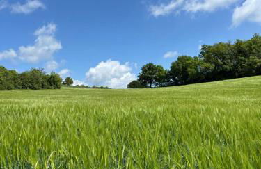 Les palmiers de Valence - Foto 18