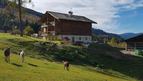 Agritur Maso Piasina - Foto 3