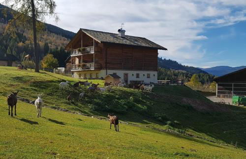 Agritur Maso Piasina - Photo 3