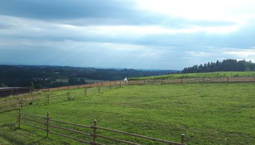 Ferienwohnung am Dachsberg, Bayerischer Wald - Foto 4