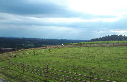 Ferienwohnung am Dachsberg, Bayerischer Wald - Foto 4