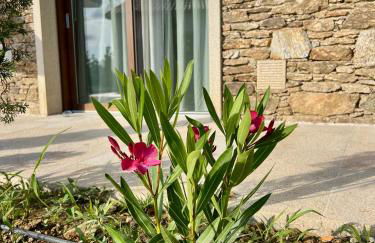 AMC Boente - Foto 54