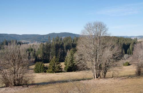 Ferienwohnung Steinhart - Foto 31