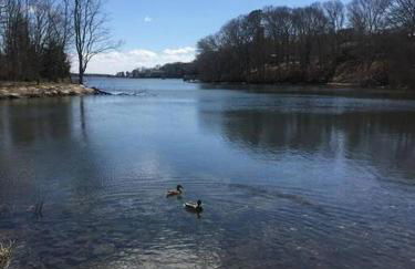 Stunning Spacious Cape Cod House with Water Views - Foto 26