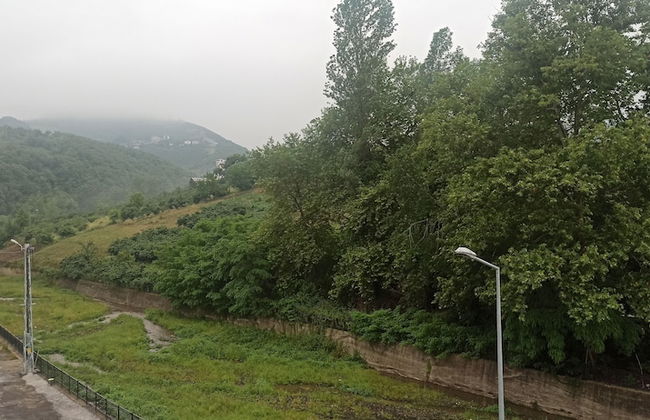 Alasraf Suit - Photo 19