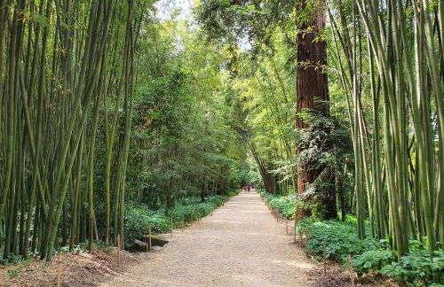 La Bastide Bleue - Foto 29
