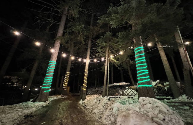 The Forest Villa Borovets1 - Foto 64