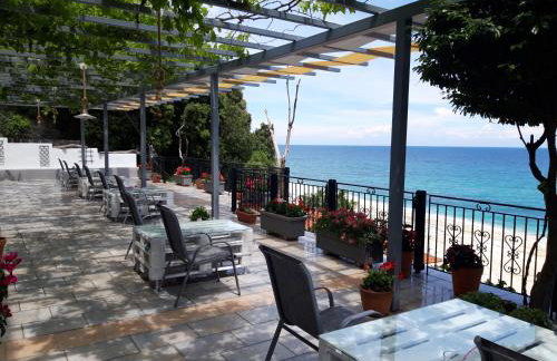 Ammos papanero - Foto 16