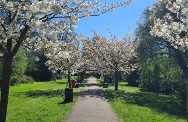 Britannia Lodge - Foto 66