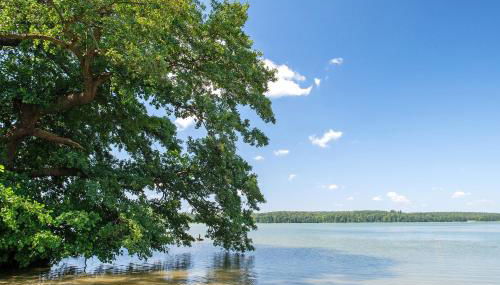 Ferienhaus Ton Sünhus - Foto 2