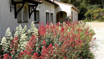 Au point du jour - Gîtes Carcassonne, Lac de la Cavayère - Foto 2, Garden, Garden view