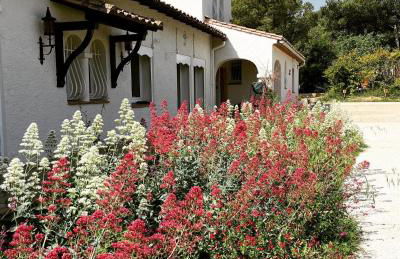 Au point du jour - Gîtes Carcassonne, Lac de la Cavayère - Foto 2