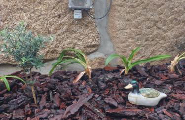 Quinta Cunha - Foto 21