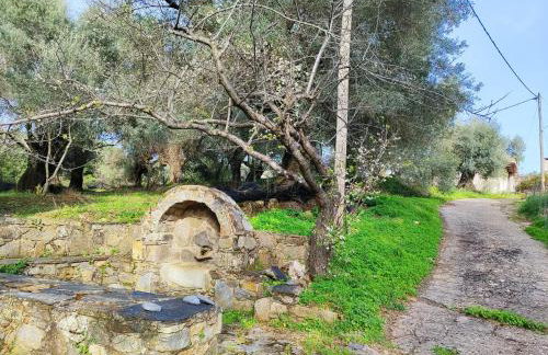 Nature House Vlatos - Foto 12