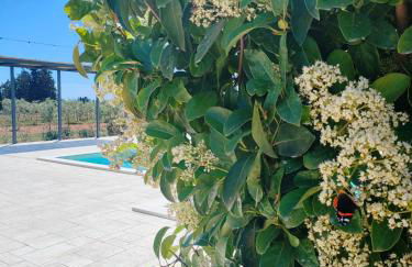 EcoVilla con piscina privata - Apulia Villas - Foto 18