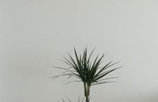 DÚPLEX ÁTICO XANA FOZ con terraza 80 m2 privada y vistas a la ría - Foto 31