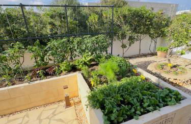 Villa Rafael - Foto 16