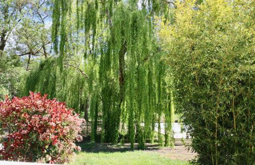 Gîtes Terra di a Bravona - Foto 32