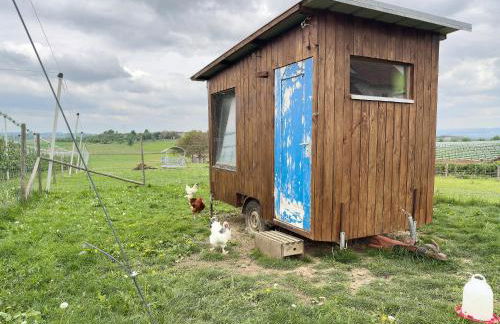 Biohof Stotz - Foto 18