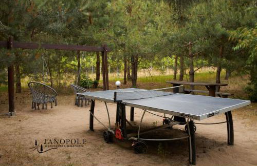 Siedlisko Janopole - Foto 71